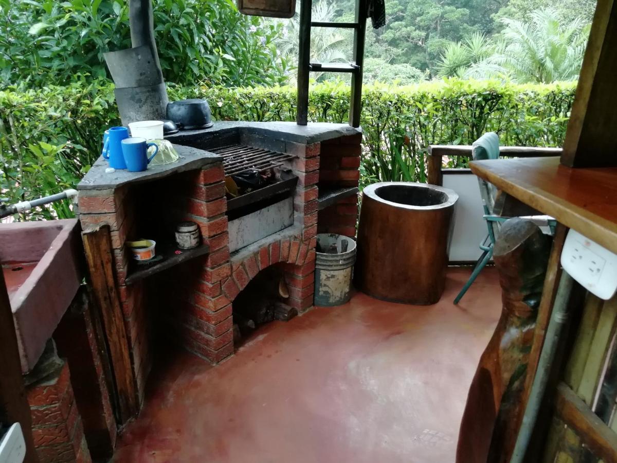 Pochote Lodge Guayabo  Zewnętrze zdjęcie