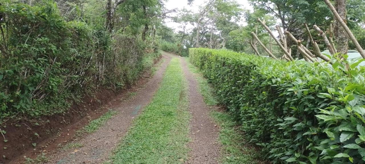 Pochote Lodge Guayabo  Zewnętrze zdjęcie