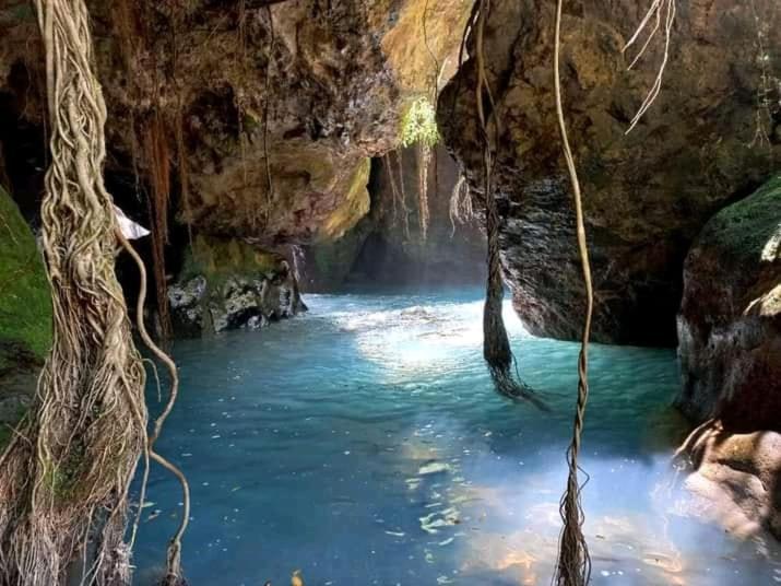 Pochote Lodge Guayabo  Zewnętrze zdjęcie