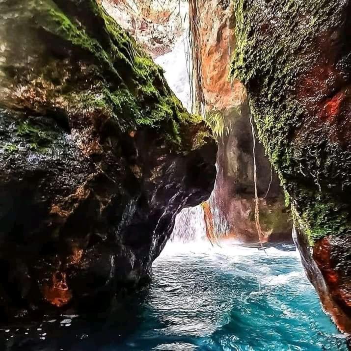 Pochote Lodge Guayabo  Zewnętrze zdjęcie