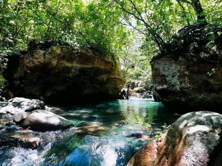 Pochote Lodge Guayabo  Zewnętrze zdjęcie