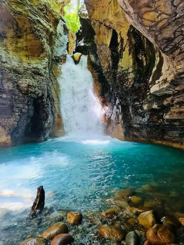 Pochote Lodge Guayabo  Zewnętrze zdjęcie