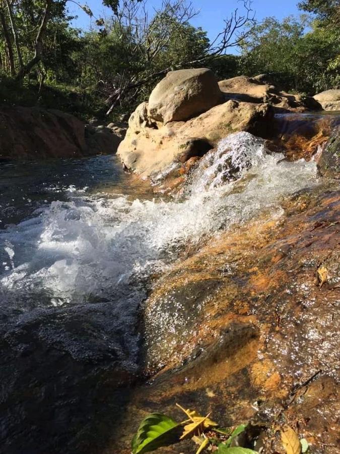 Pochote Lodge Guayabo  Zewnętrze zdjęcie