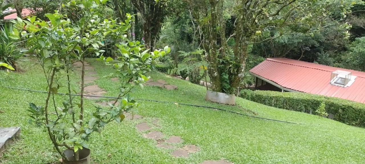 Pochote Lodge Guayabo  Zewnętrze zdjęcie