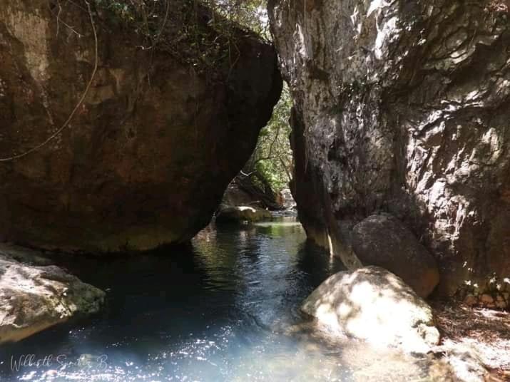Pochote Lodge Guayabo  Zewnętrze zdjęcie