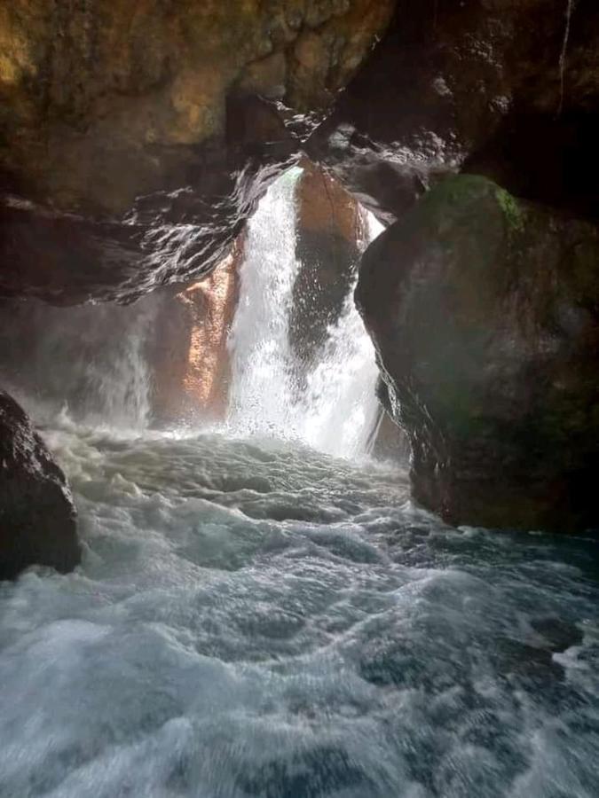 Pochote Lodge Guayabo  Zewnętrze zdjęcie