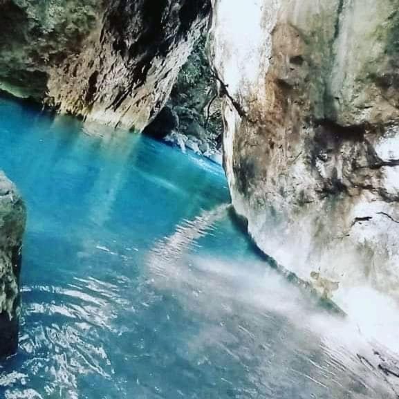 Pochote Lodge Guayabo  Zewnętrze zdjęcie