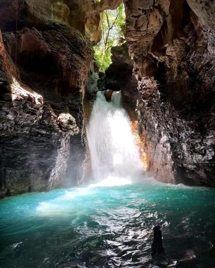 Pochote Lodge Guayabo  Zewnętrze zdjęcie